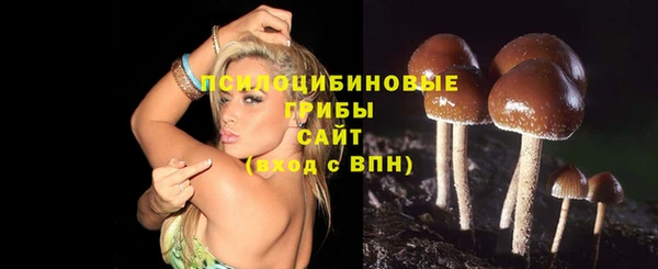 эйфоретик Алзамай