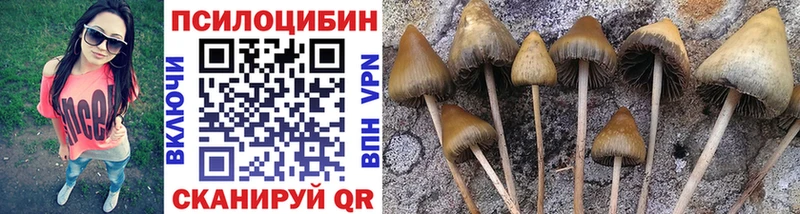 Псилоцибиновые грибы Magic Shrooms  купить наркотики сайты  blacksprut tor  Нижнеудинск 