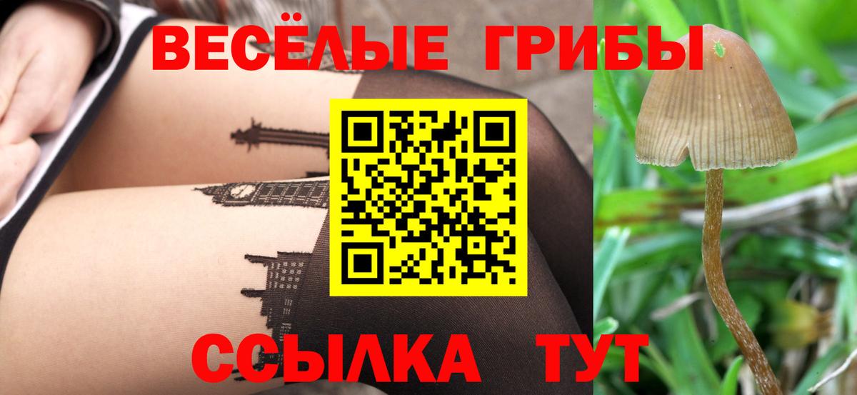 Галлюциногенные грибы мицелий Нижнеудинск
